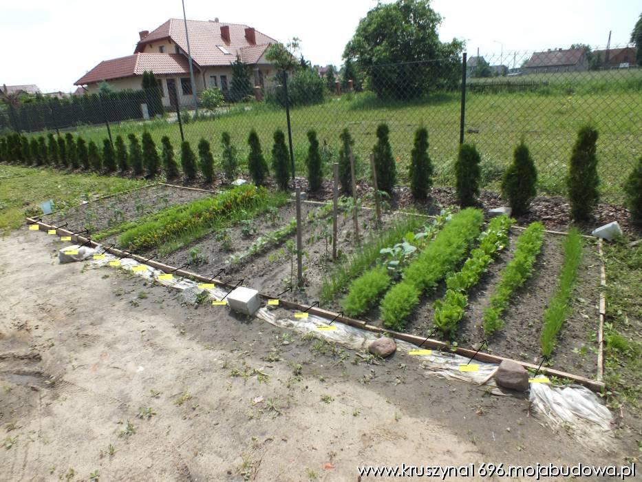 blog budowlany - mojabudowa.pl